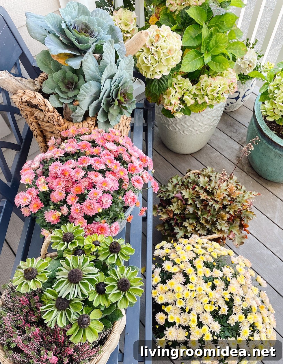 Fall 2022 Front Porch Decor Reveal — Lantern Returns! 13 Plants and pots on the porch
