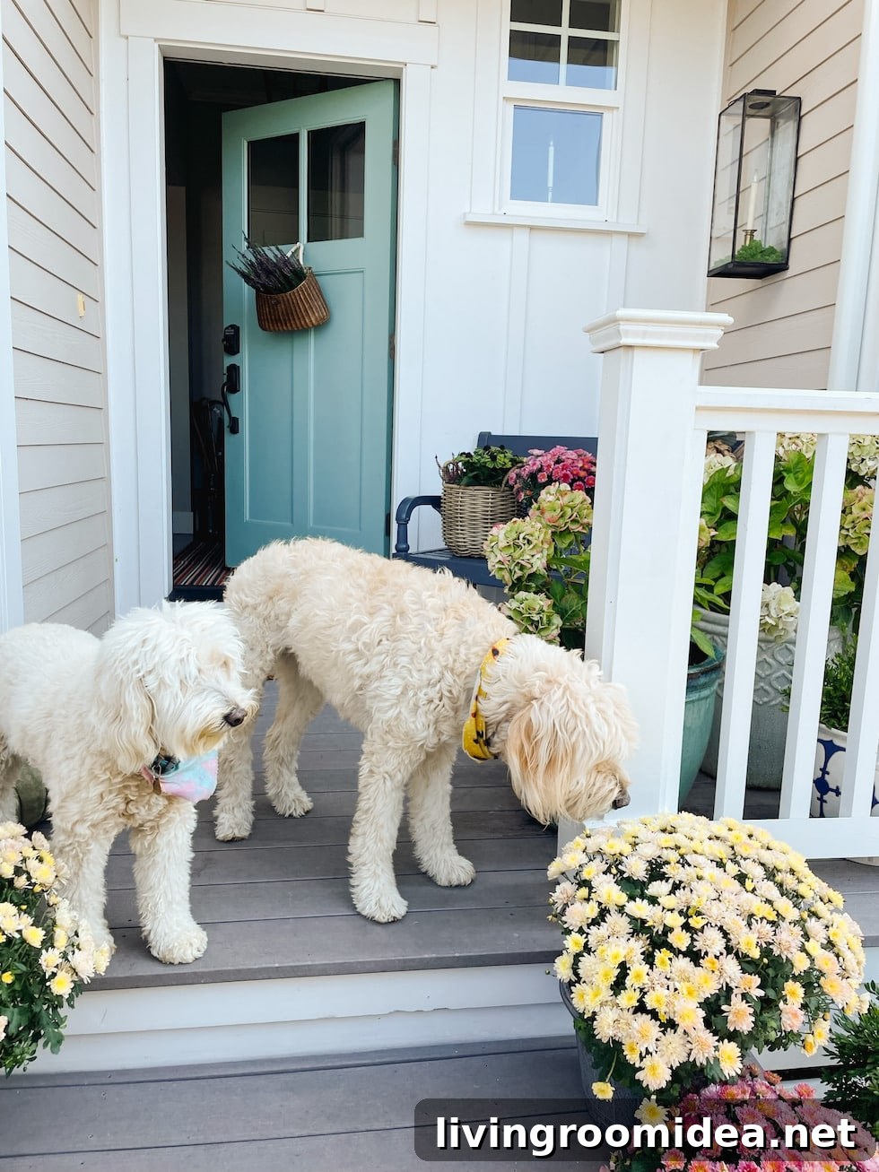 Fall 2022 Front Porch Decor Reveal — Lantern Returns! 8 Two doodles on the front porch of a coastal style home decorated for fall!