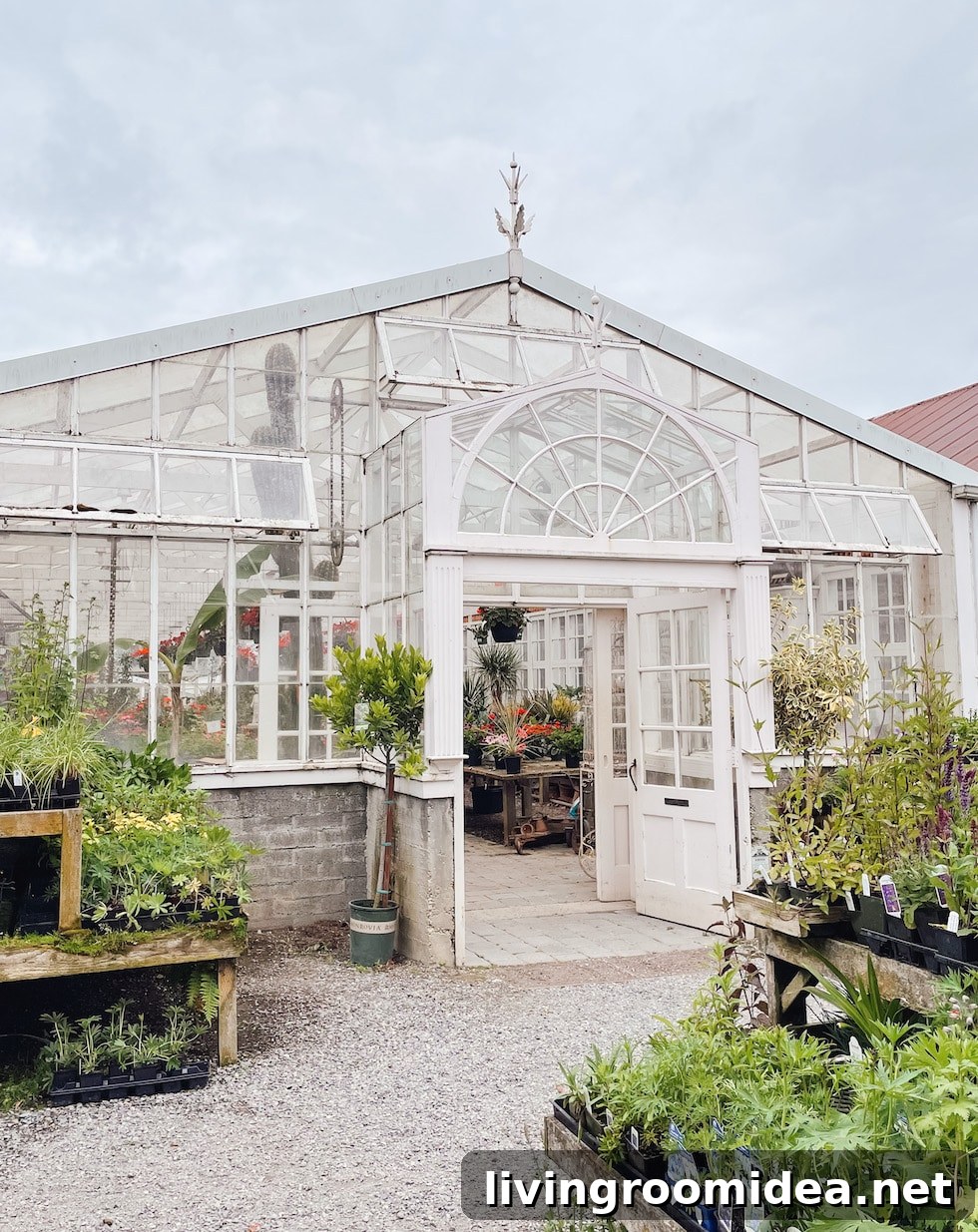 greenhouse first look