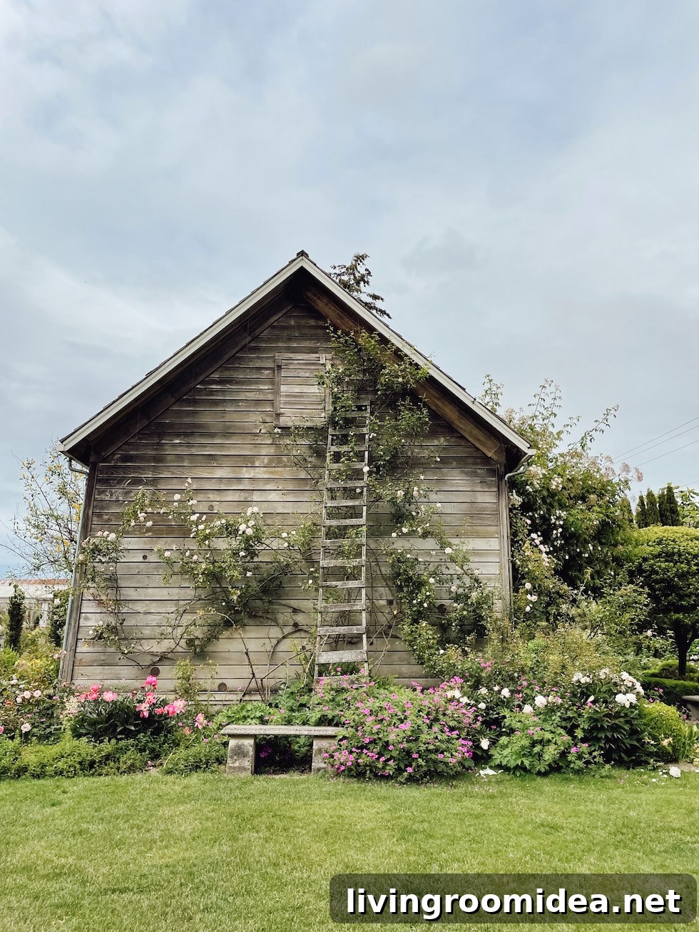Rustic Romantic Wedding Ideas