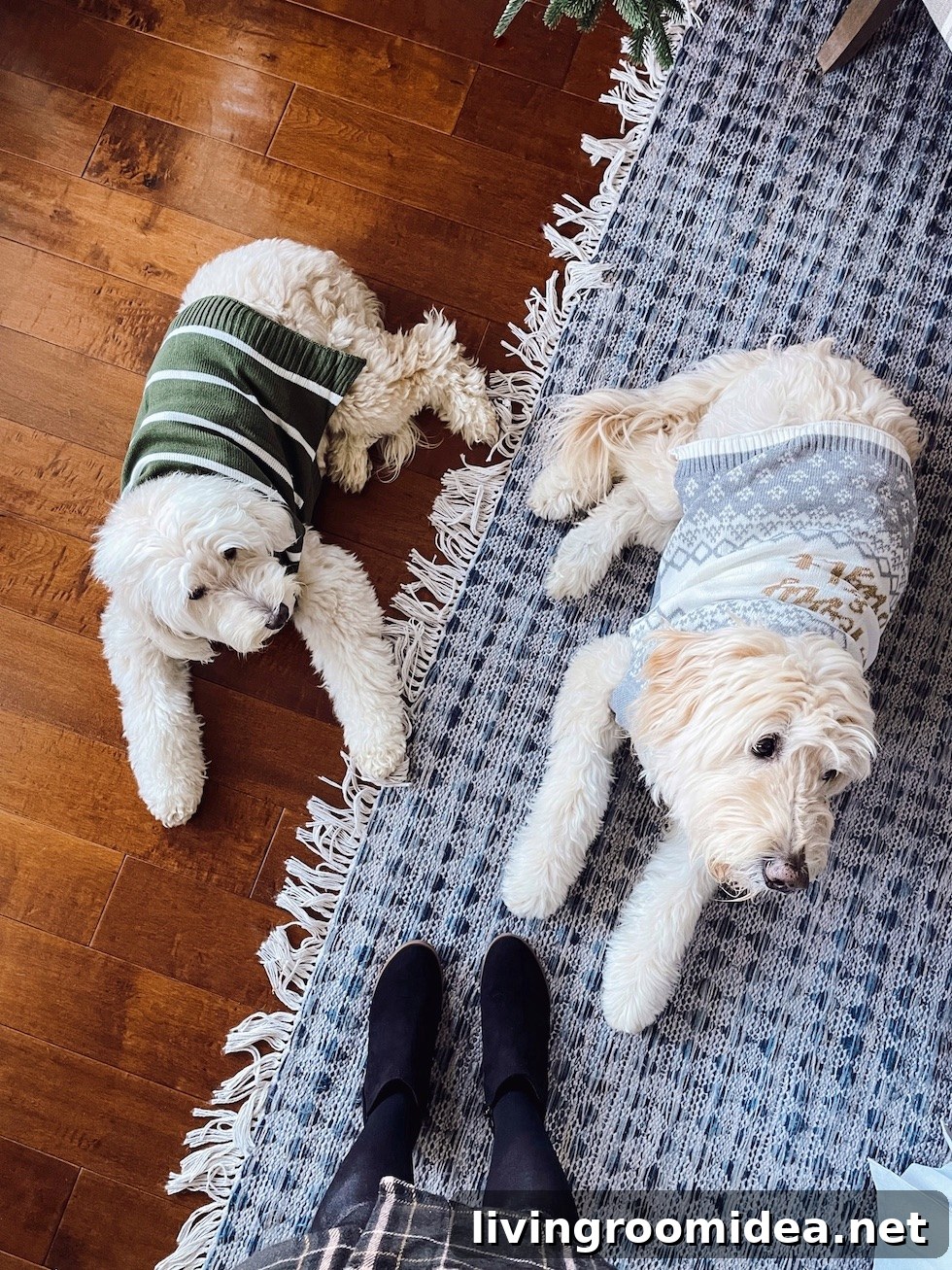 3 Chic Winter and Holiday Outfit Ideas 18 dog sweaters for the holidays
