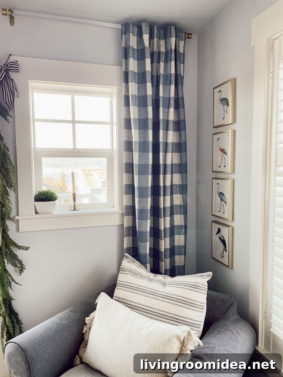 Small Home Updates: Blue-Checked Curtains and Bird Artwork 5 img 149579 4 1
