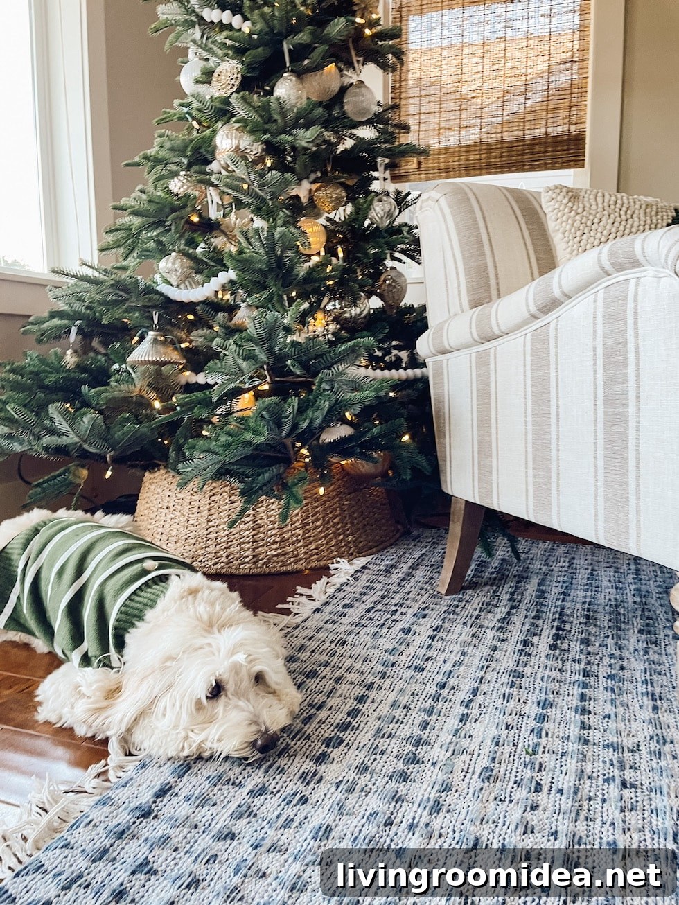 Merry Christmas 2022: Warm Wishes From Our Home to Yours 37 img 150309 36 2