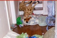 5-Minute Tidy: Quick Steps to Make Your Home Look Clean