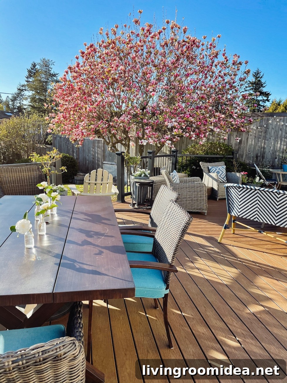 Trex Deck and Railings
