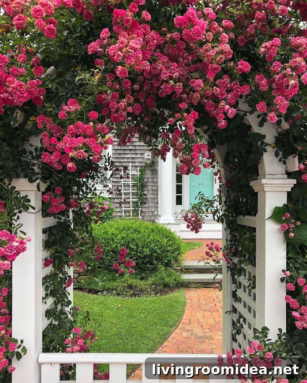 Climbing roses