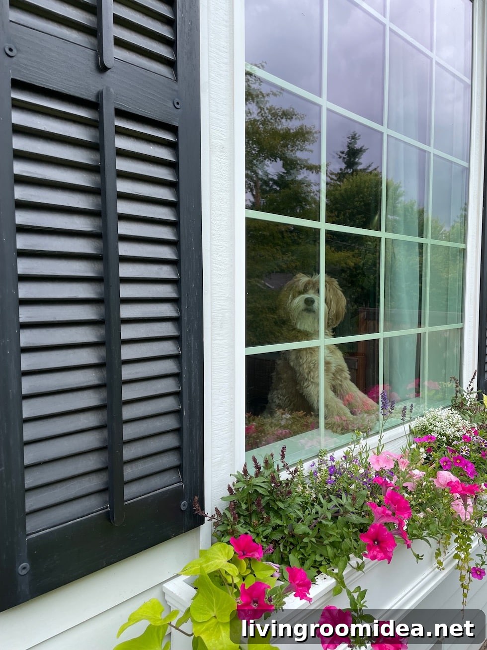 Window Boxes That Boost Curb Appeal – Kylee’s House Update 6 summer window boxes on cape cod style home
