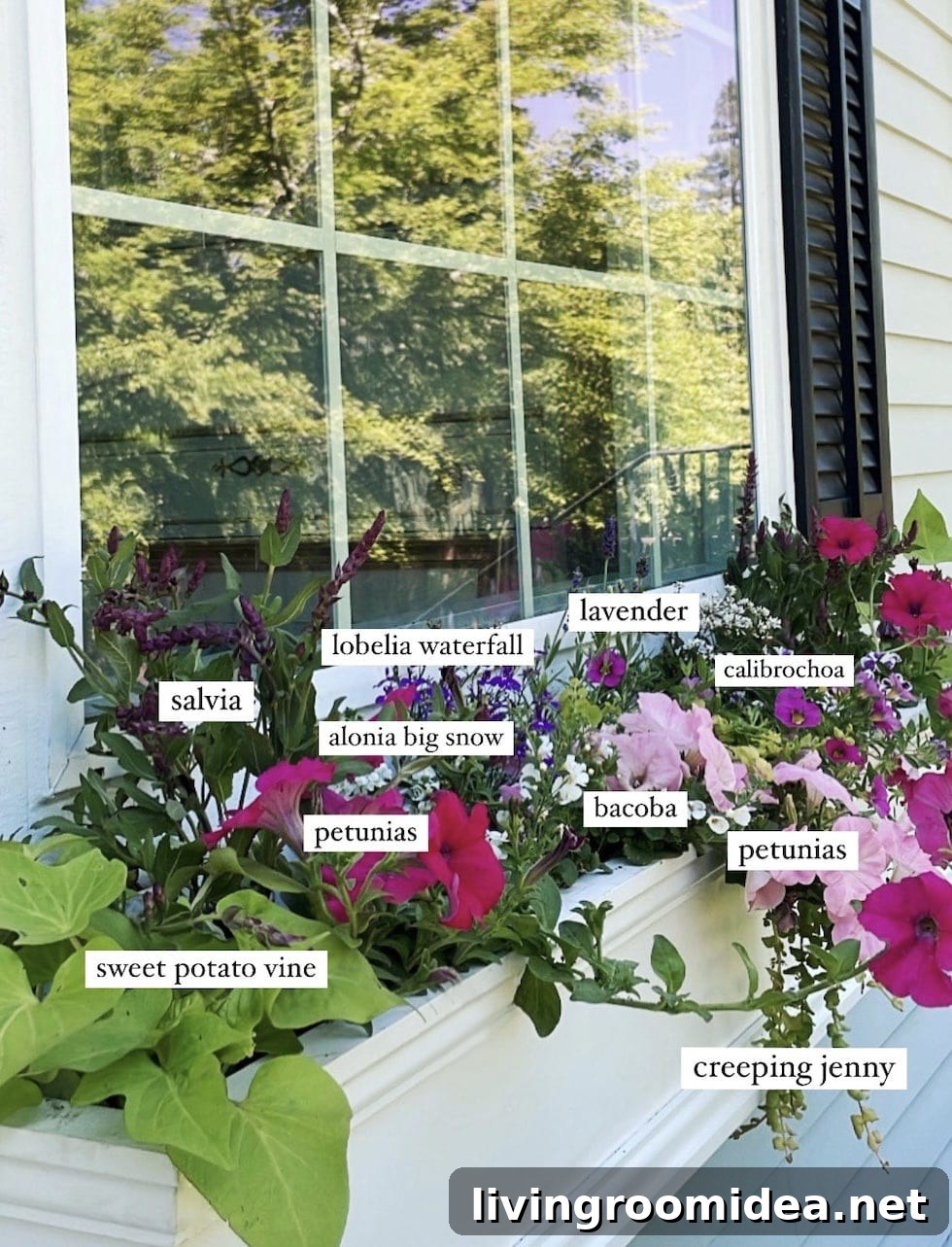 Window box planting