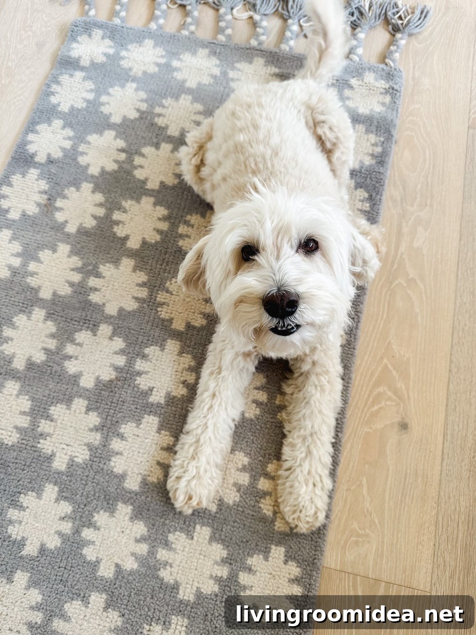 Dash and Albert Annie Selke Rug designed by The Inspired Room