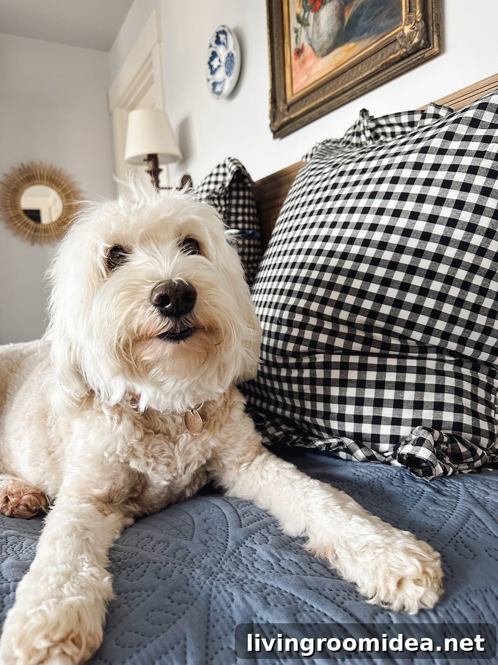 Gingham Shams