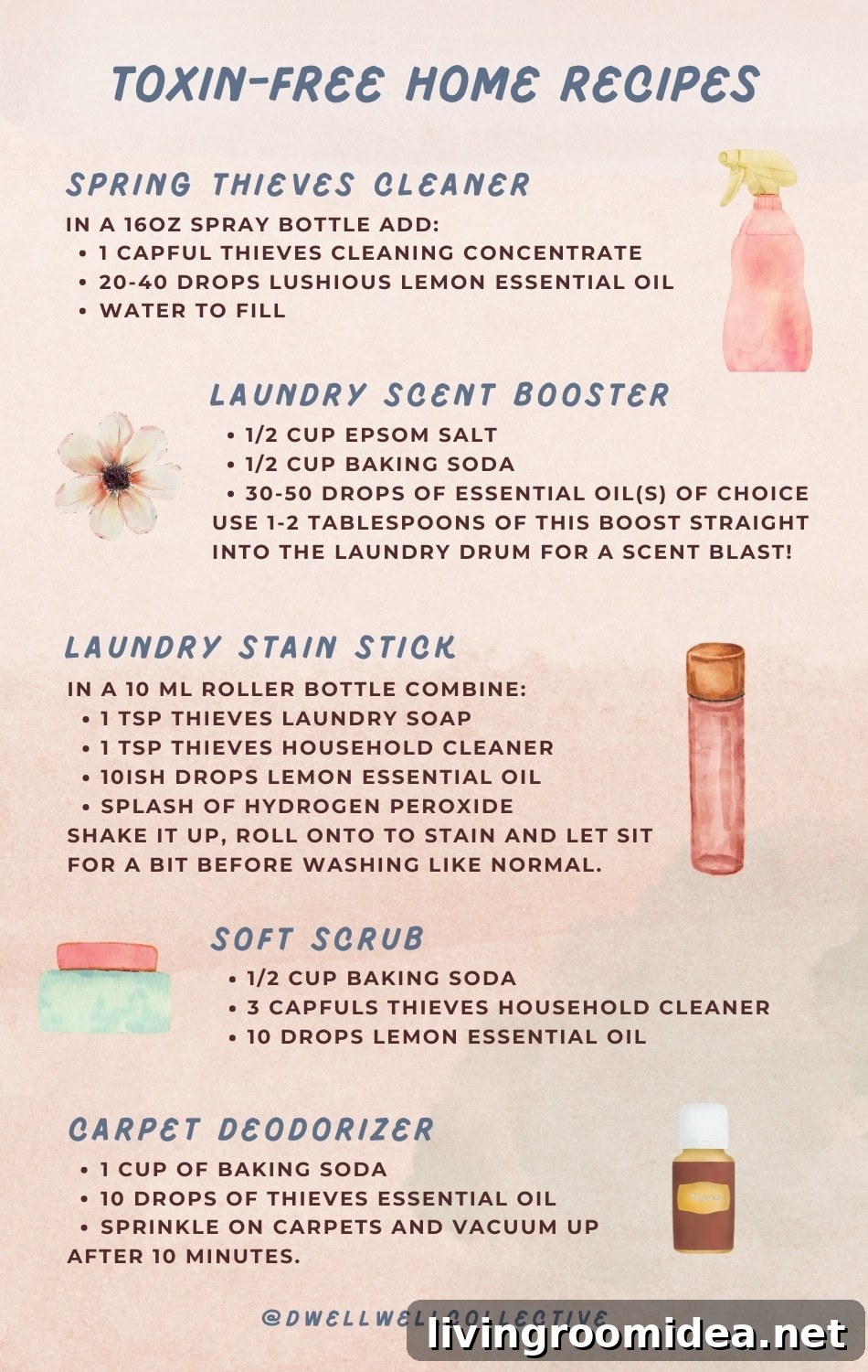 toxin free home recipes