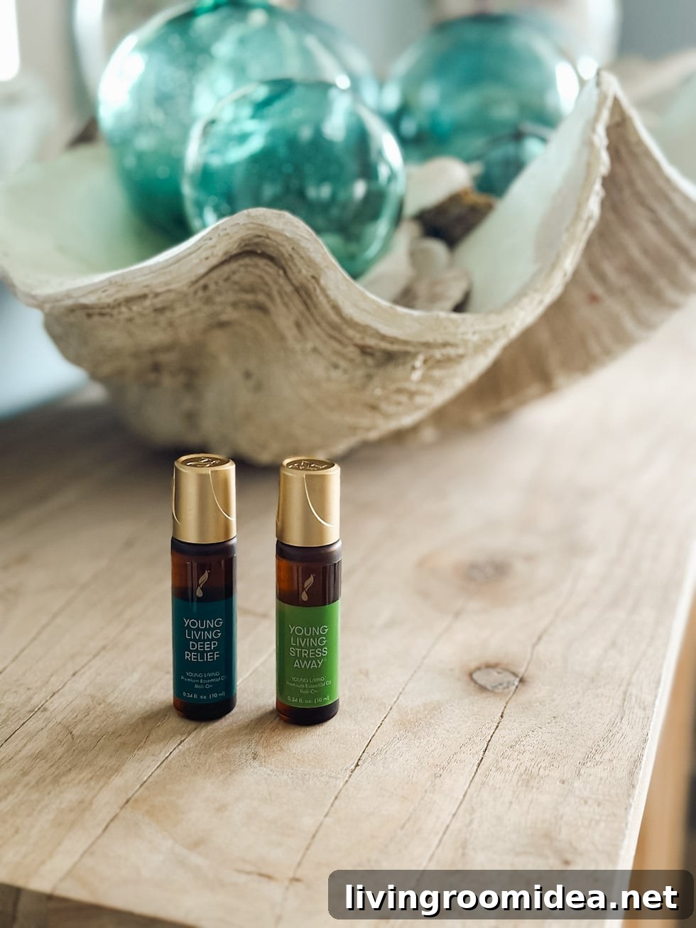 grab the deal on our favorites
