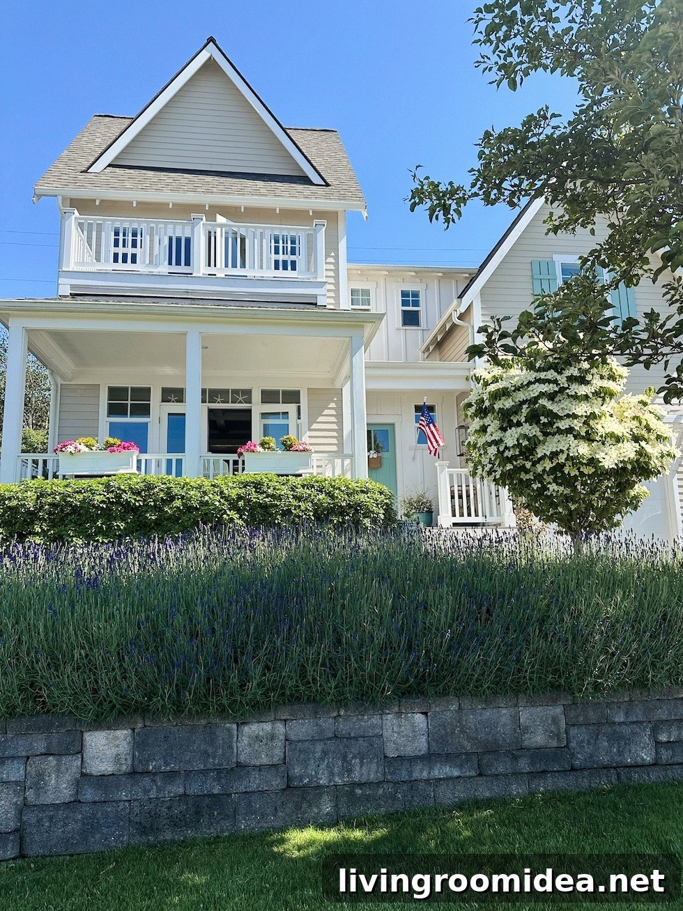 img 168420 1 2
