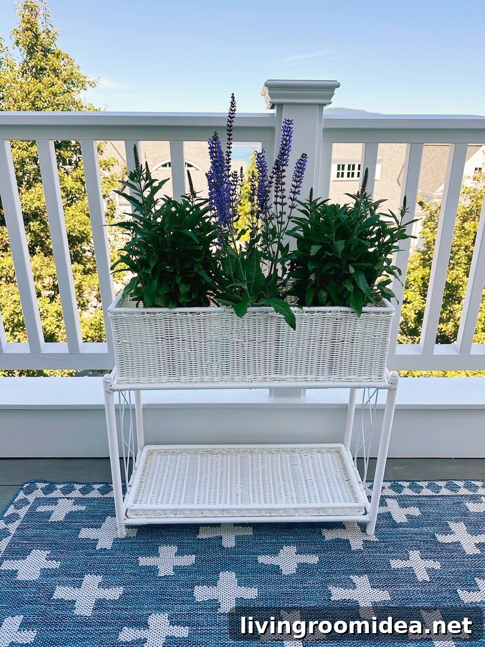 Small Deck Makeover: Summer Reveal + 6 Creative Uses for a Wicker Plant Stand 4 An outdoor wicker plant stand -- clever ways to use it!