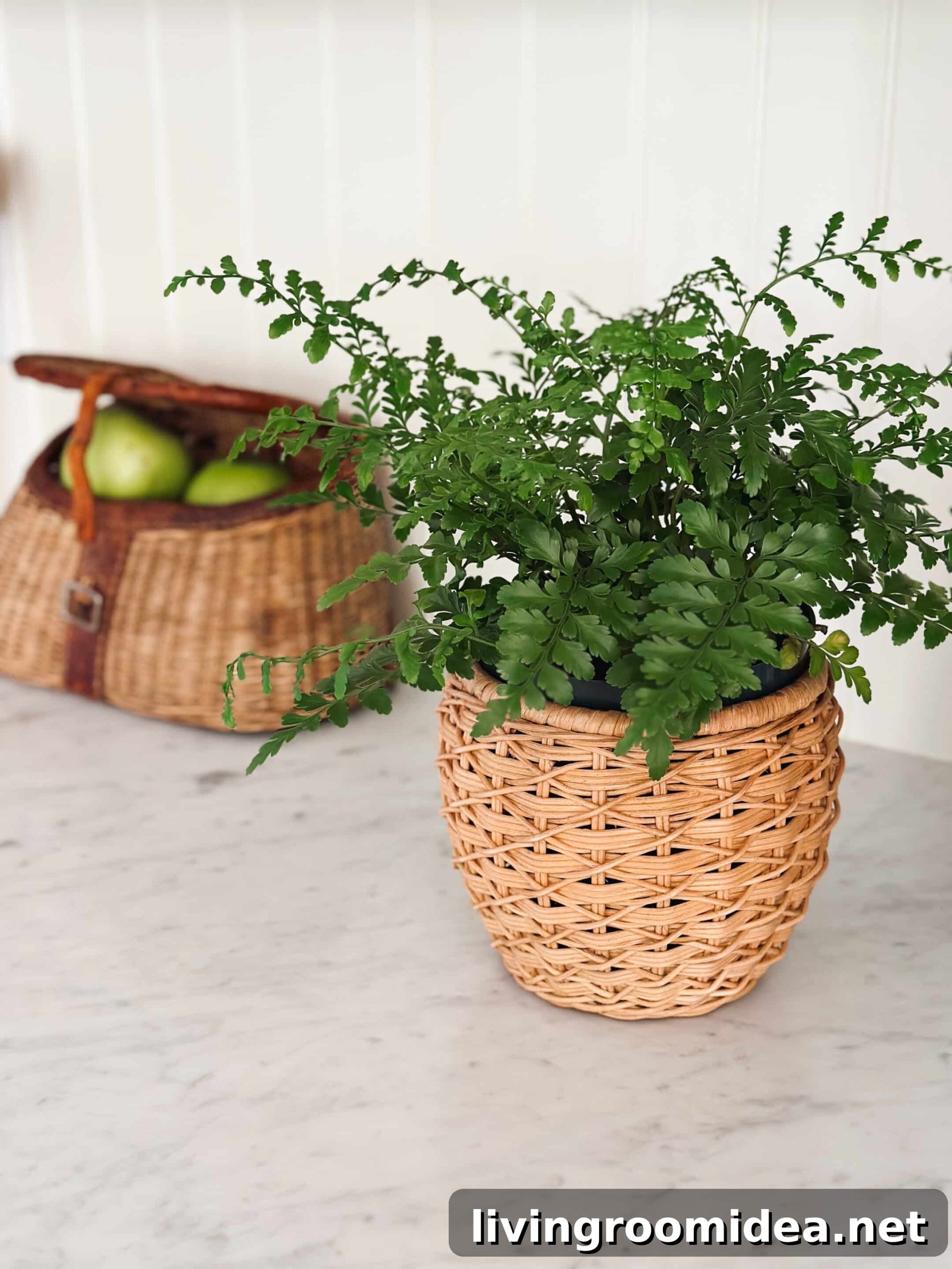 12 Stylish, Practical Kitchen Essentials I Use Daily 12 img 169191 13 scaled