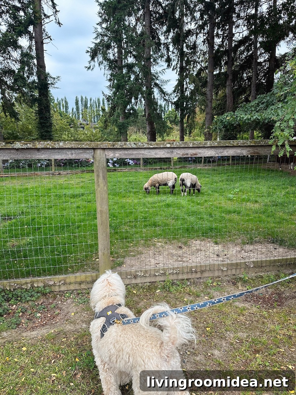 Life Lately: Lily and Our Visit to a Garden Nursery 12 img 170126 11 1