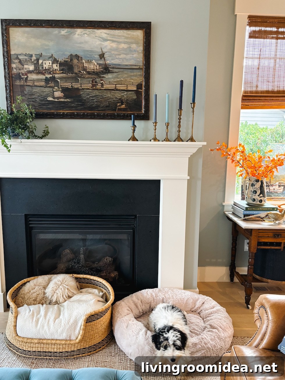 Life Lately: Meet Finnegan — Welcome to Our Home 3 Finnegan in his bed
