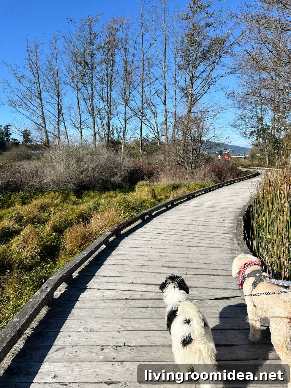 Life Lately: Meet Finnegan — Welcome to Our Home 5 Finnegan with Lily
