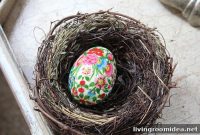 Fresh Organic Eggs: Where to Buy, Store, and Cook Them