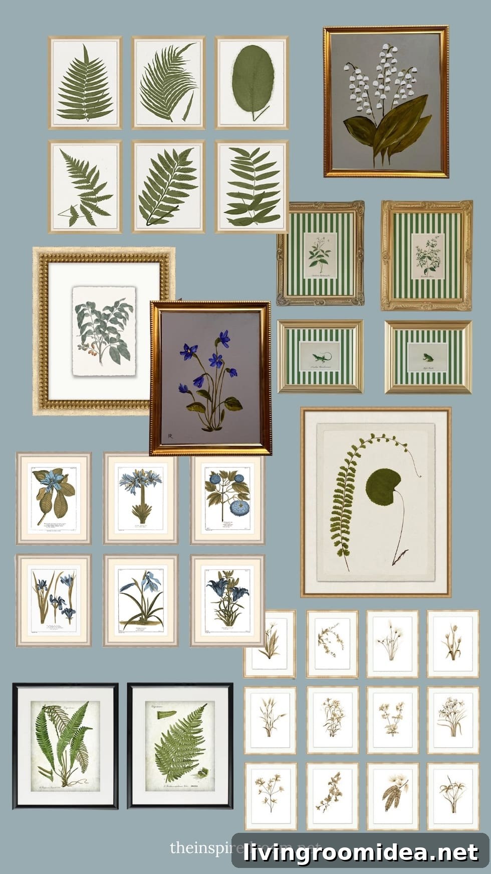 Assorted botanical prints