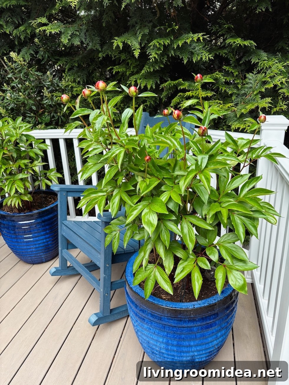 5 Outdoor Spring Projects We've Worked on So Far