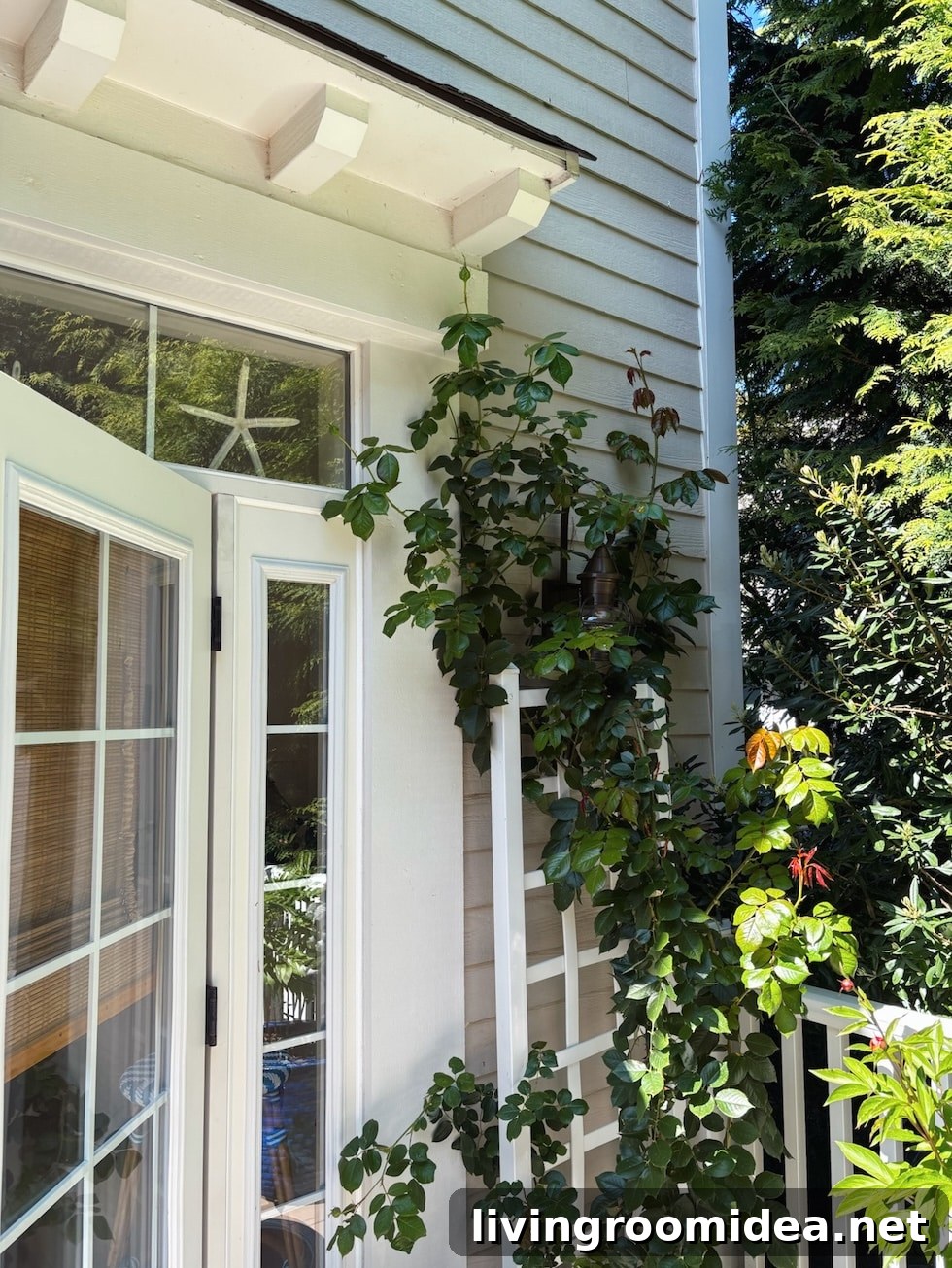 5 Outdoor Spring Projects We've Worked on So Far This Year