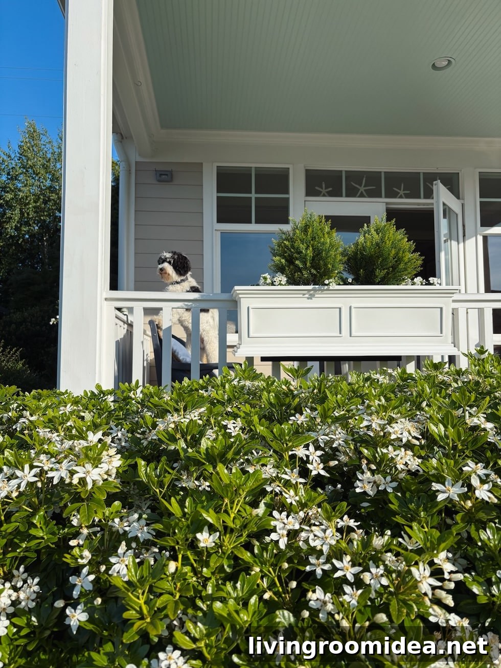 Top Amazon Prime Day Finds 2025: Tried-and-True Items I Use Everyday 20 Faux greenery