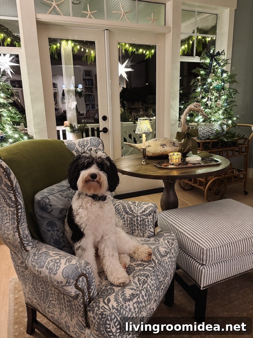 img 185160 48 1