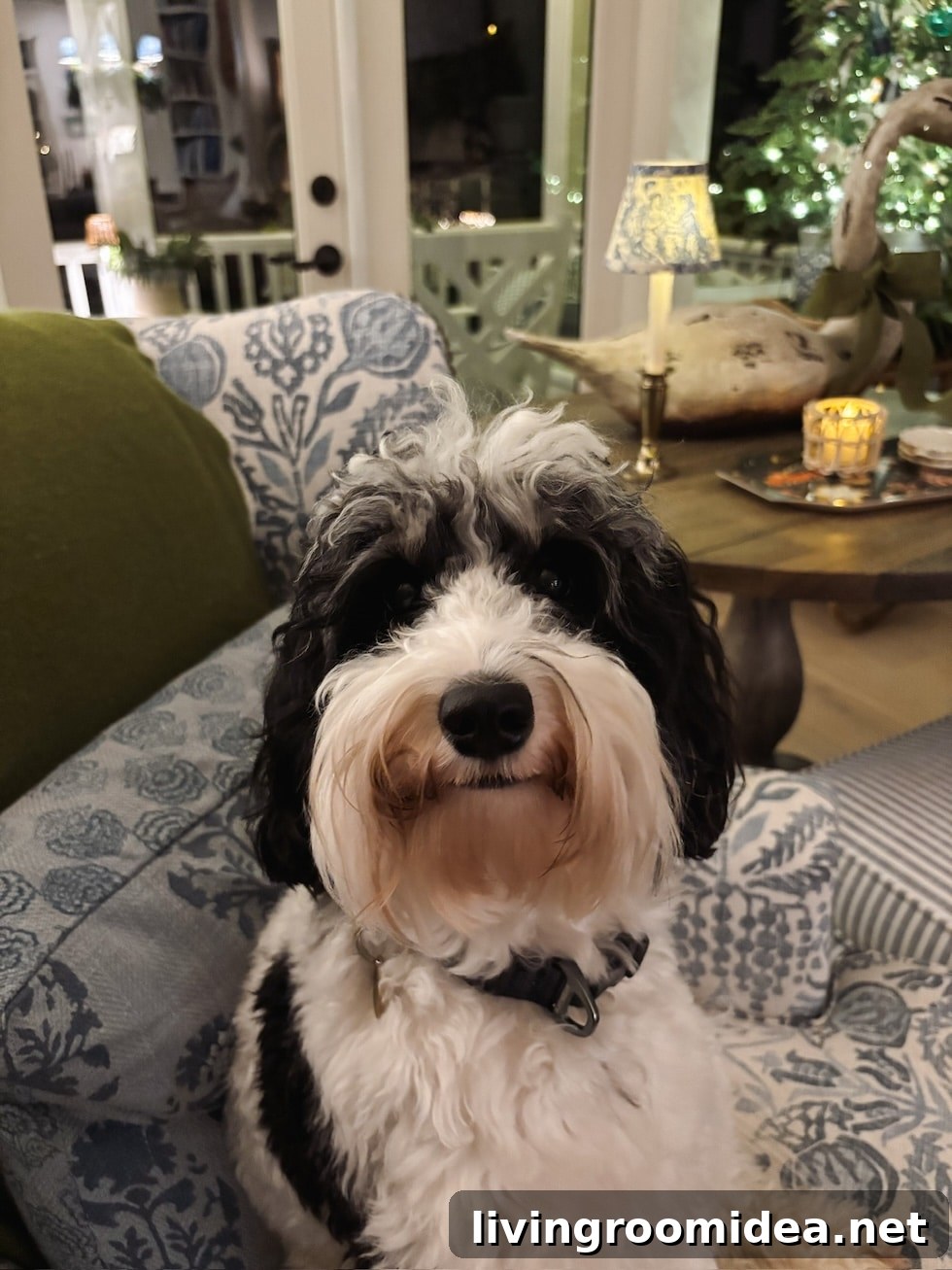 img 185160 49 1