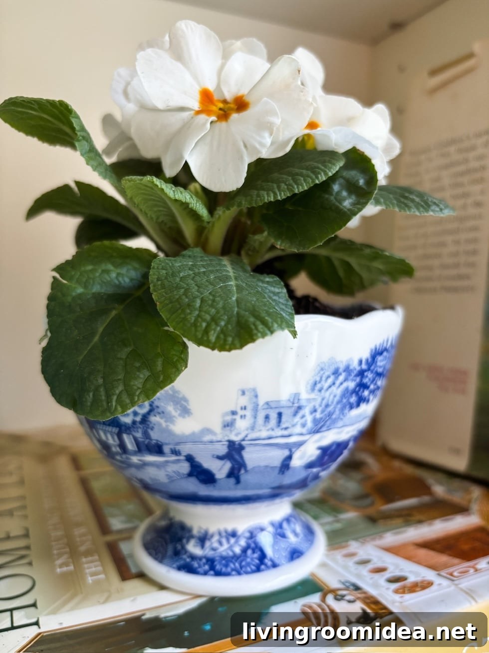 4 Simple Habits That Make Home Life Happier Every Day 5 img 187512 5 1