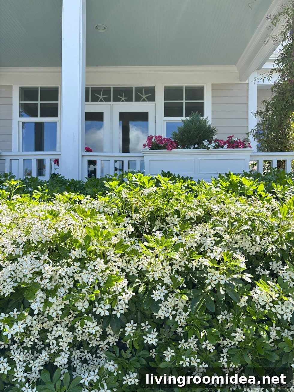 6 Charming Ideas to Add Cottage Style to Your Backyard 6 img 193940 5