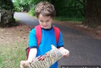 Family Treasure Hunt Ideas: Fun Outdoor and Indoor Games for All Ages
