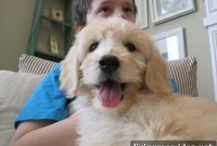 Meet Jack: The Man Behind the Story