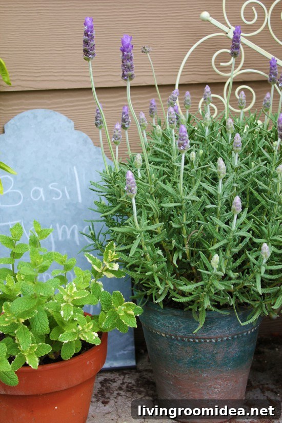 Weekend DIY Potting Table and Garden Makeover 7 herb garden potting bench