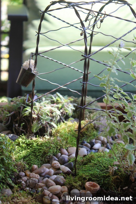 diy-fairy-garden img 21513 2 1
