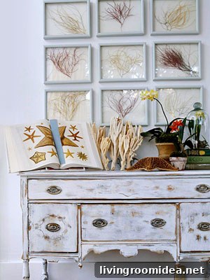 fall-decorating-sea-whips-in-frames img 21706 10 1