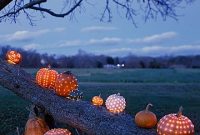 Holiday Decorating Styles: Find Your Festive Groove or Refresh Your Look