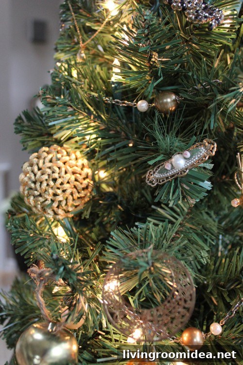 img 24857 4 1