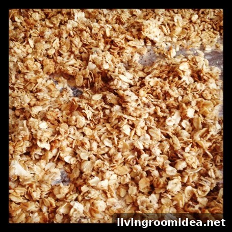 Instagram-Granola-455x455 img 24968 2