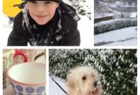 Snow Days: Turn Winter Blues into Fun and Productivity