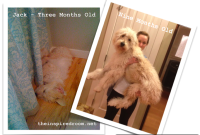 Jack, Look How Much You’ve Grown — Milestones and Memories