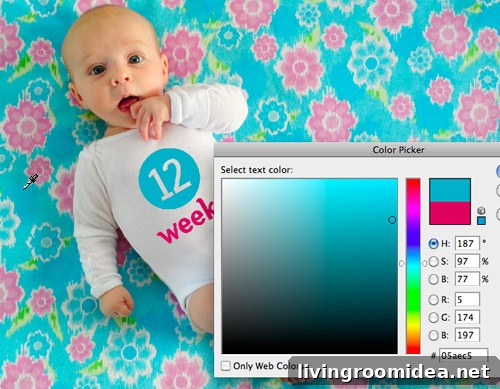 Weekly Baby Photo Tips: How We Capture Growth and Milestones 7 Color selection