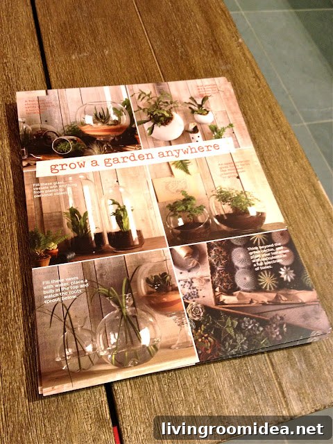 west elm seattle urban garden event grow a garden anywhere terraniums and succulents