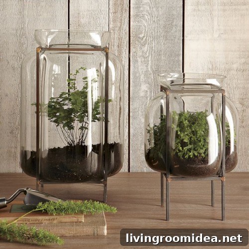 terrariums west elm terrariums west elm