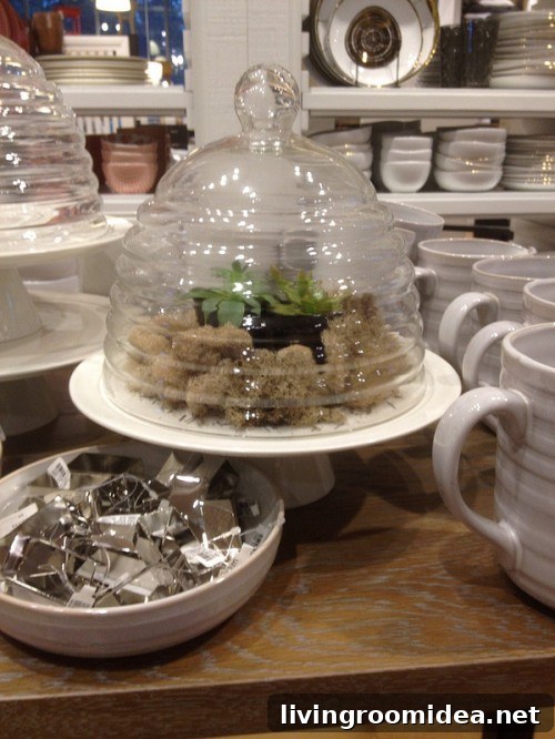 bee hive glass cover plants cake stand bee hive glass cover plants cake stand
