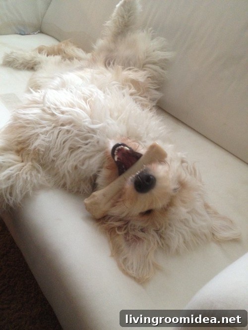 Jack lounging