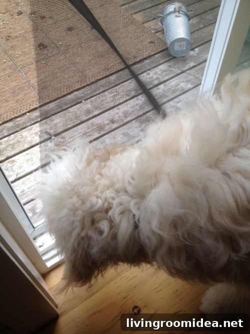 jack breaking the screen door Jack breaking the screen door