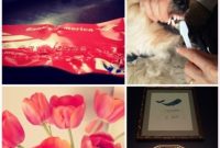 A Wonderful Week: Highlights, Tips, and Moments to Remember
