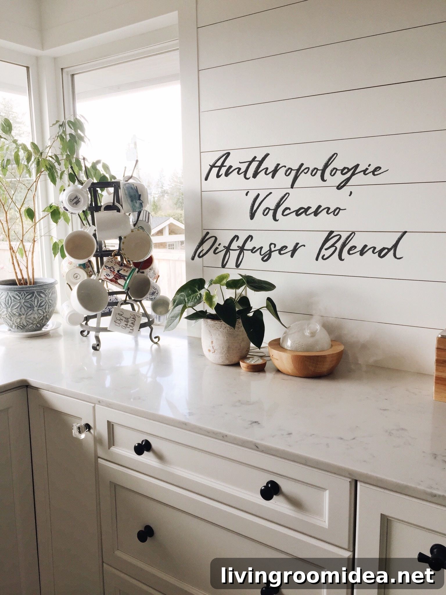 Make Your Home Smell Like Anthropologie: Signature Scent Tips 5 Anthropologie Inspired Diffuser Blend