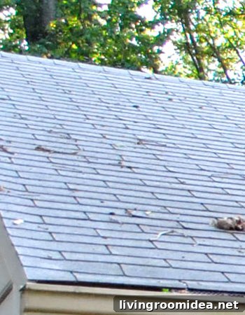 Damaged shingles